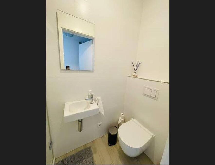 Apartment 1 Bedroom In Center With Terrace 31--2